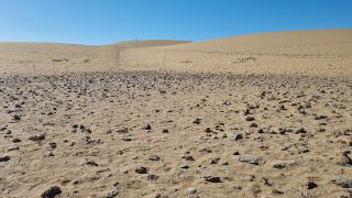 2023-GC--Mapalomas dunas-S123-173.jpg
